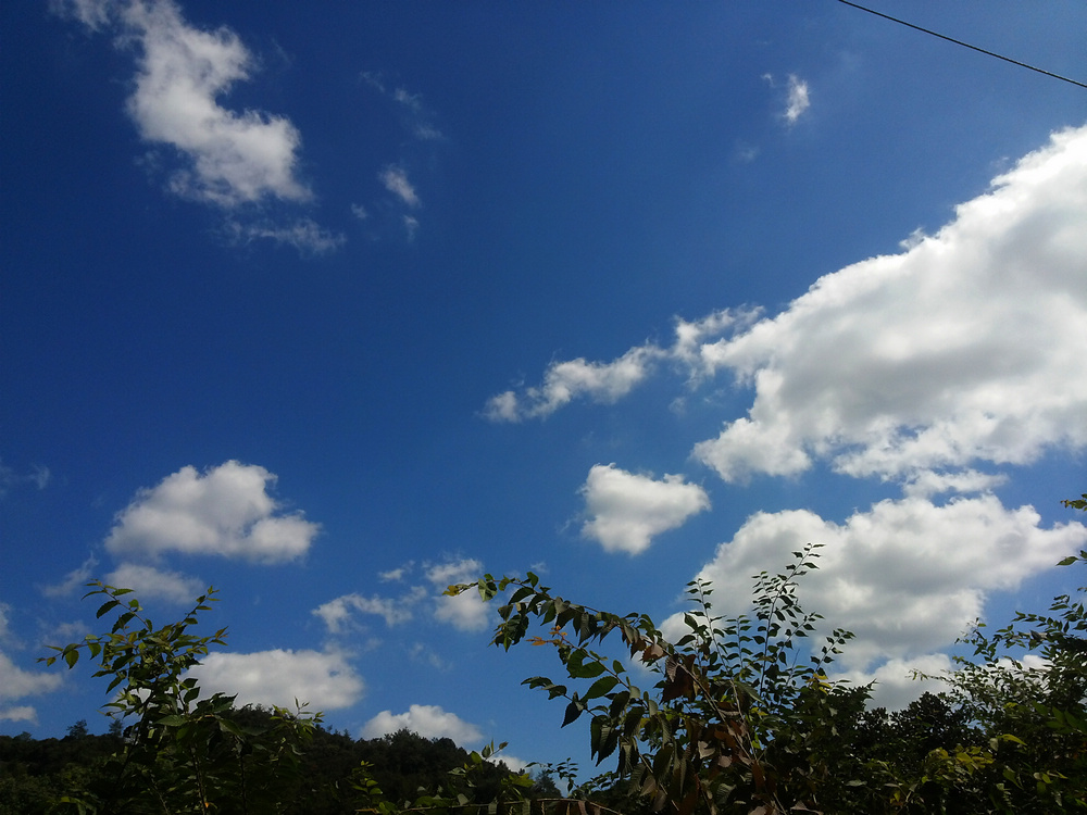 20131004_103414.jpg