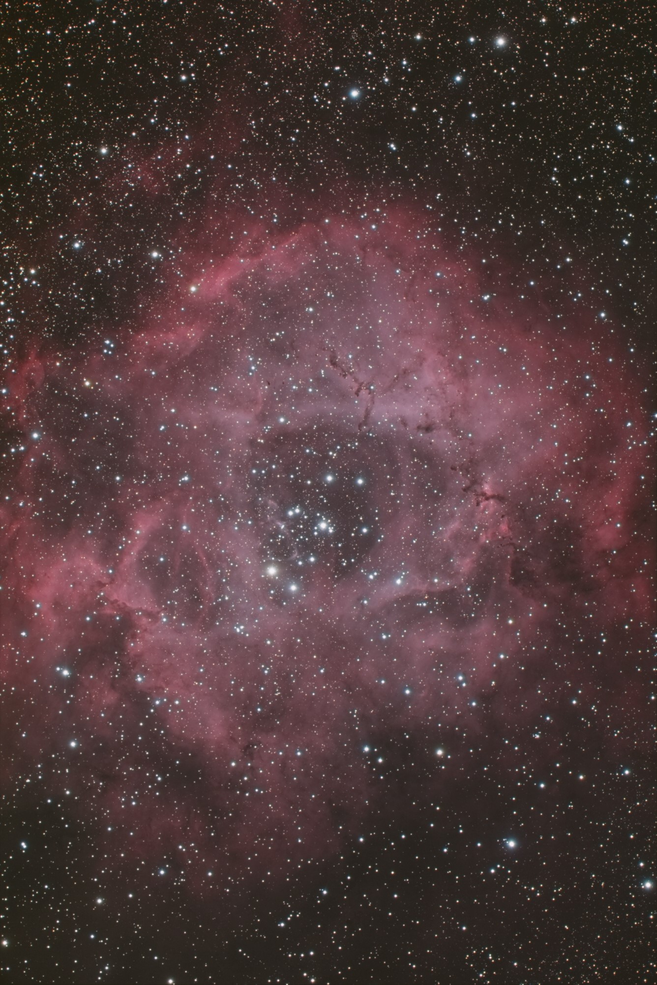 ngc2244.jpg