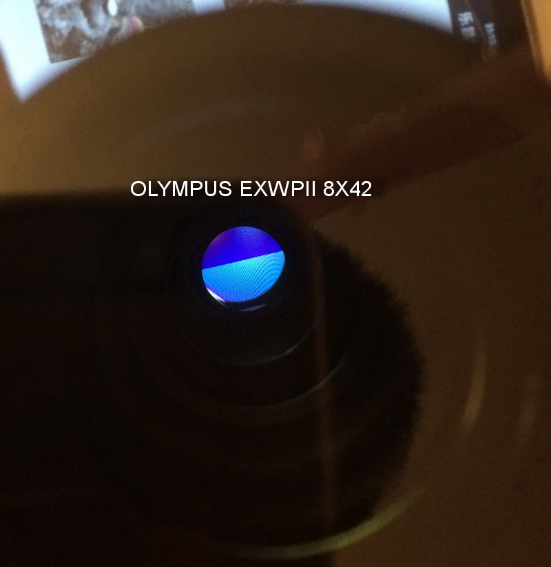 OLYMPUS EXWPII 8X42