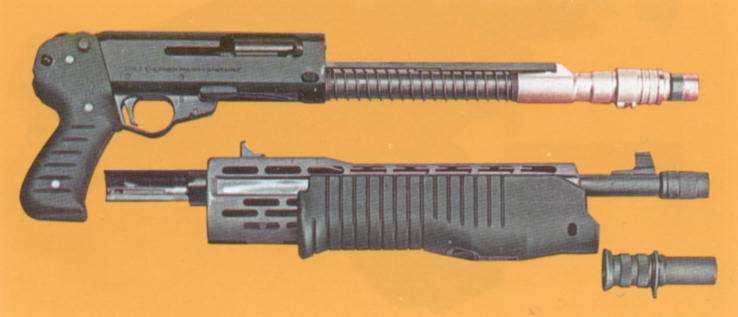 spas12_9.jpg