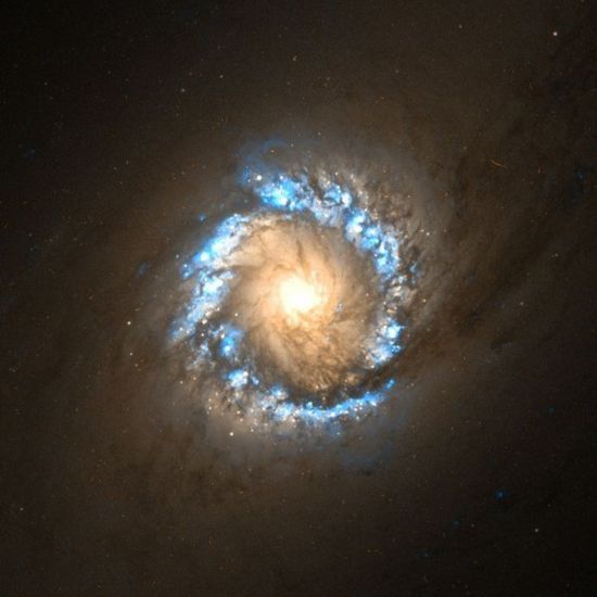 NGC 1097.jpg