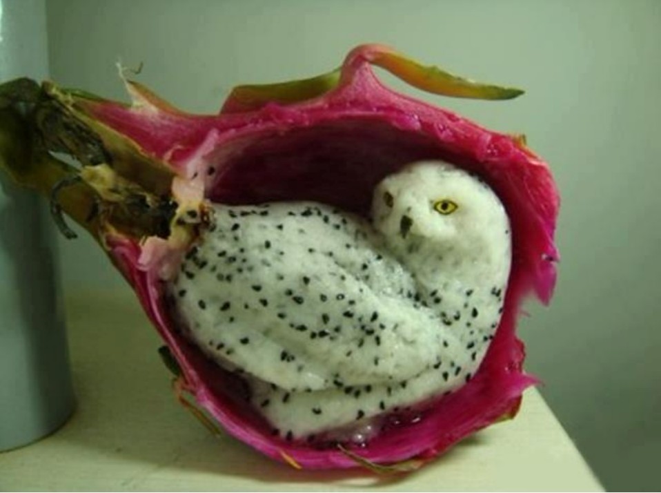 Pitaya.jpg