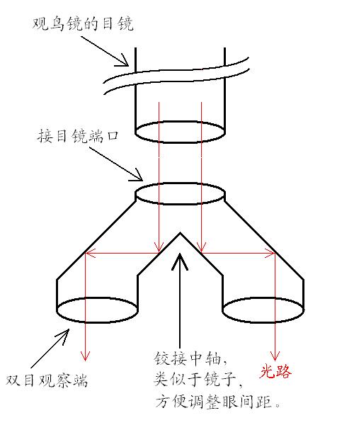 һ淨--˫ͲԼ