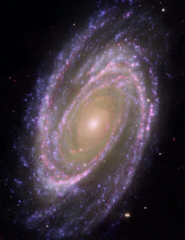 m81.jpg